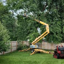 Best Tree Mulching  in North Bennington, VT